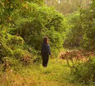 Naturens sprog: Skovbad