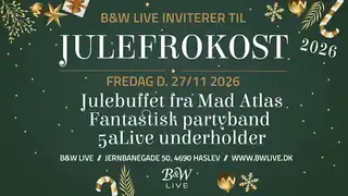Julefrokost 27.11.2026