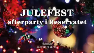 Christmas Party Afterparty