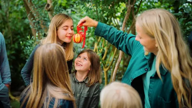 Christmas Plants - A Family Guided Tour at the Botanical Garden — Botanisk Have, Copenhagen