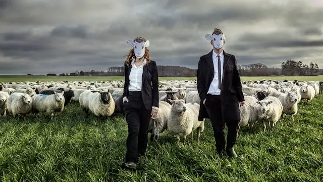 Narrative Scripts - The Battle for the Story — Teater Momentum, Odense