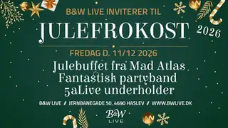 Julefrokost 11.12.2026