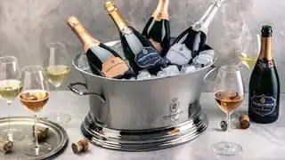 ✨ THE CHAMPAGNE FESTIVAL EXPERIENCE ✨