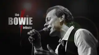 The BOWIE tribute