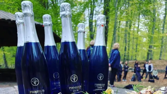 Nytårs-vandring - bobler, bål og nytårs-ritualer — Hareskov station, Hareskov st værløse