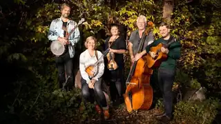 MOLDE – akustisk folkemusik i Kultursalen