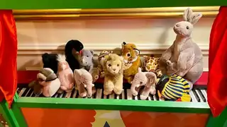 The Animals' Carnival