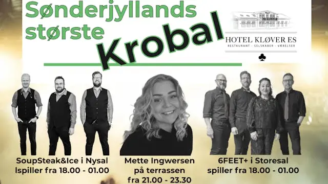 Крупнейший кробал Южной Ютландии — Hotel Kløver Es, Rødekro