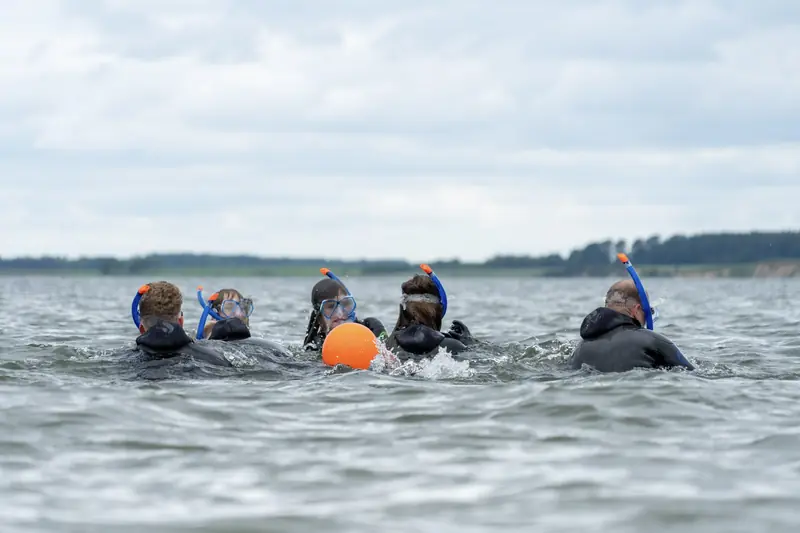 Snorkeling on a Stone Reef — Cirkelbroen ved Østerstrand, Fredericia