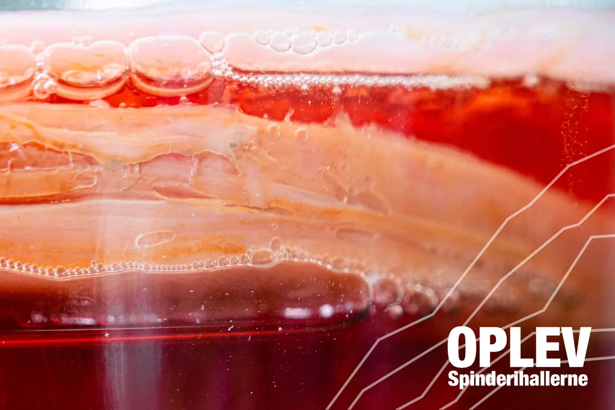 Kombucha Fruit Drinks — Spinderiet, Vejle