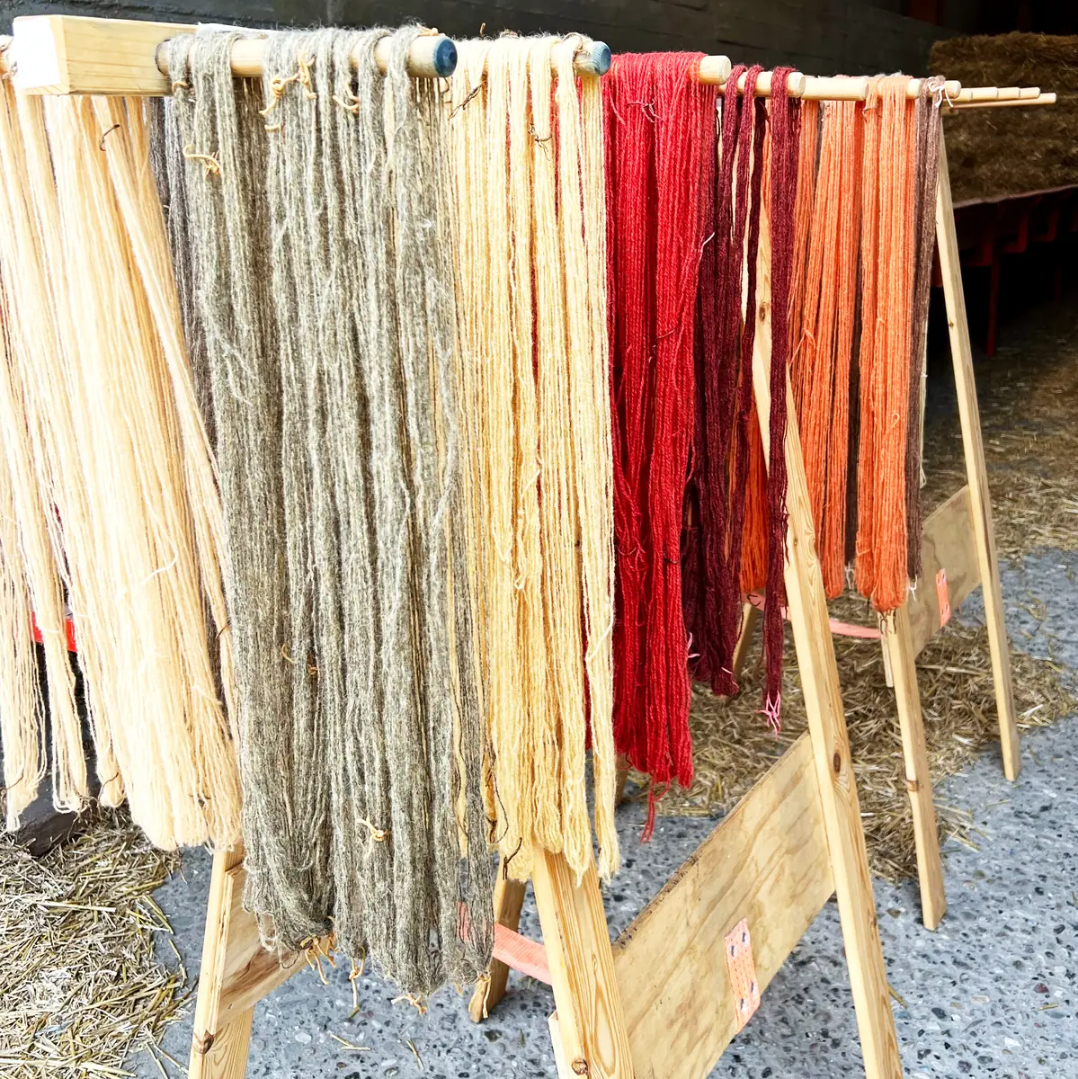 Introduction to Mushroom Dyeing — FabLab Spinderihallerne, Vejle