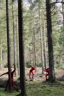 Deep Forest Art Land - Night in Nature 2026