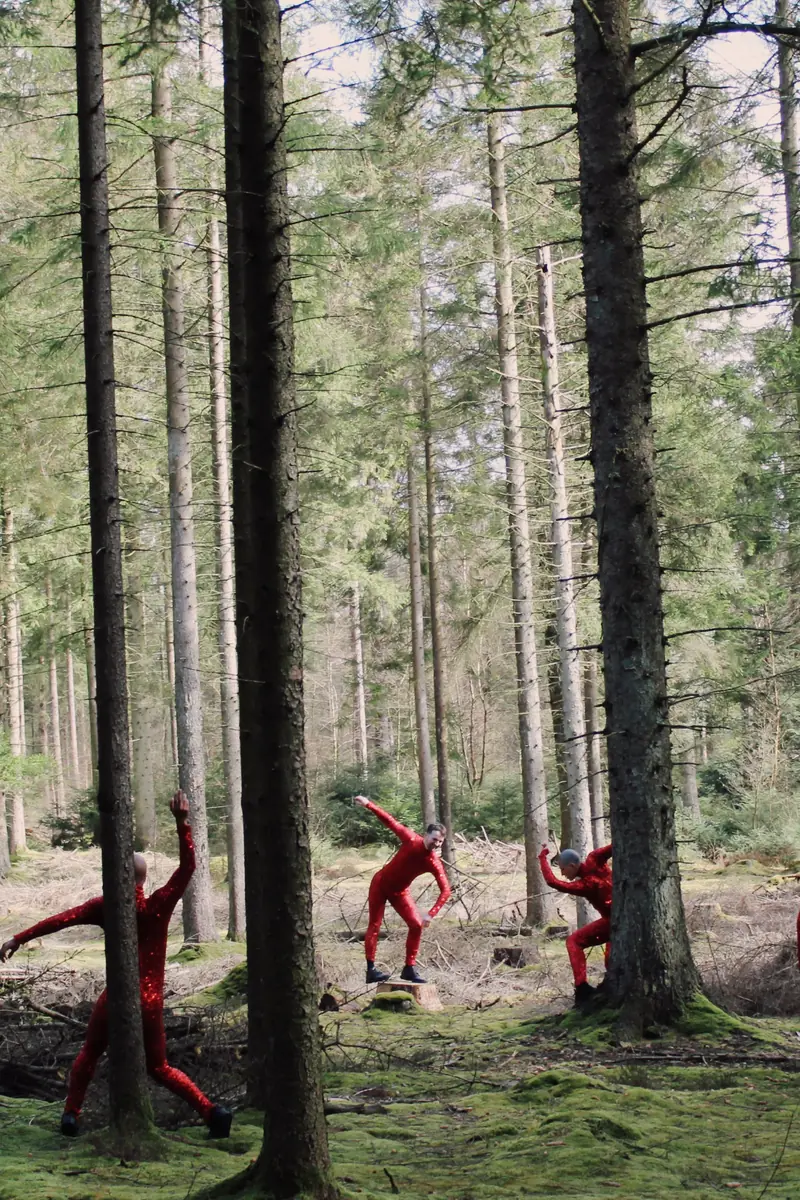 Deep Forest Art Land – Nat i Naturen 2026 — Deep Forest Art Land, Kibæk