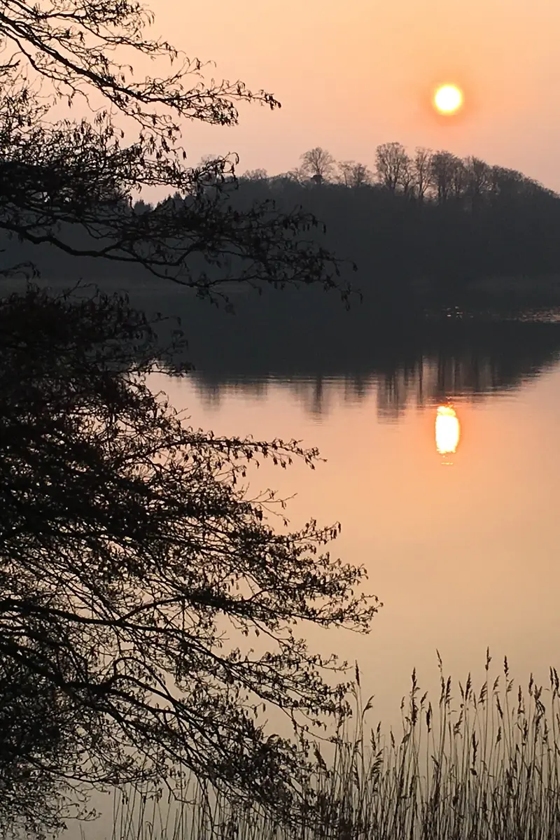 Oplev flagermus og stjernehimlen ved Bøgeskov Strand — P-plads ved Bøgeskov Strand, Fredericia
