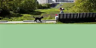Geführte Tour für neue Bewohner (Englisch)