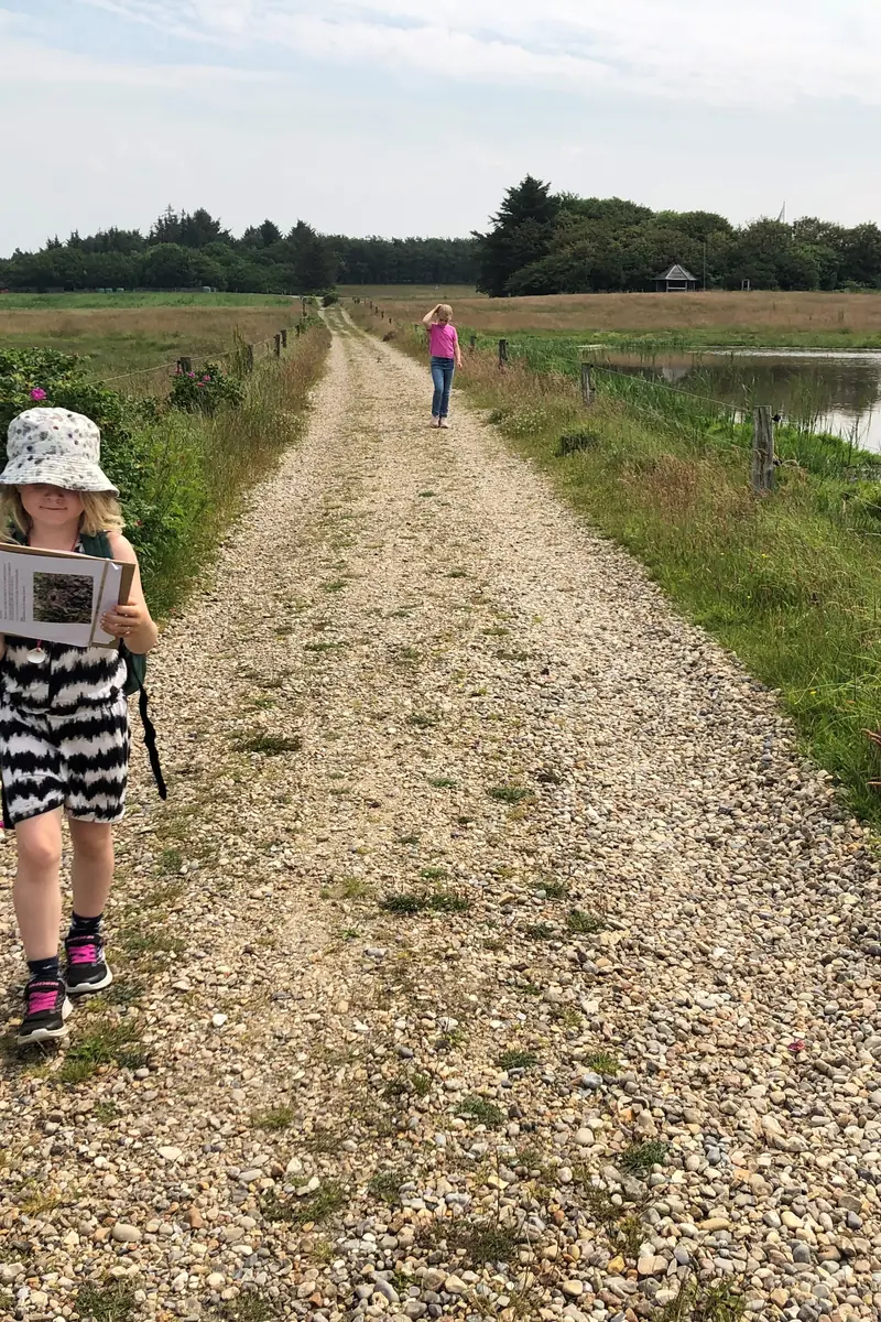 Vingeslag i Vadehavet – fugletur ved Myrthuegård for hele familien — Myrthuegård, Esbjerg