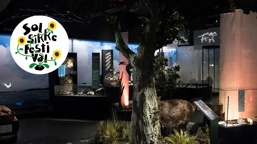 Тихий час в музее Østjylland · Museum Østjylland, Раннерс
