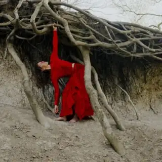 Hybrid Concert: Regenerative Music, Sustainability Research and Active Hope