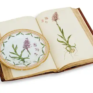 Lecture on Flora Danica - When Holmskiold's Mushrooms Came to the Table