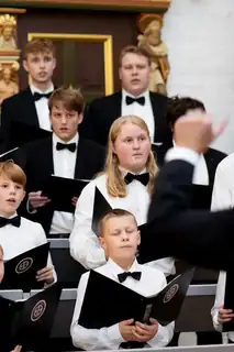 Thisted Kirkes Drenge- og mandskor