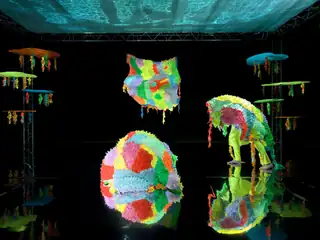 Hyper Coral