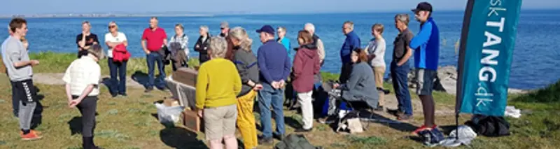 Seaweed Safari - Højbjerg / Aarhus — Ørnereden, Højbjerg, Højbjerg