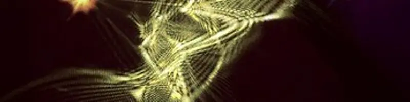 The Quantum Computer — Rebildcentret, Skørping