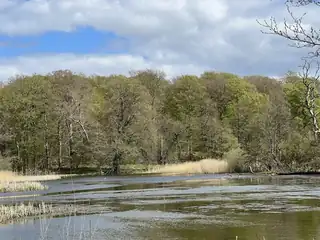 Biblioteksklubbens cafeaftener - Louise Lærke: Naturpark Åmosen