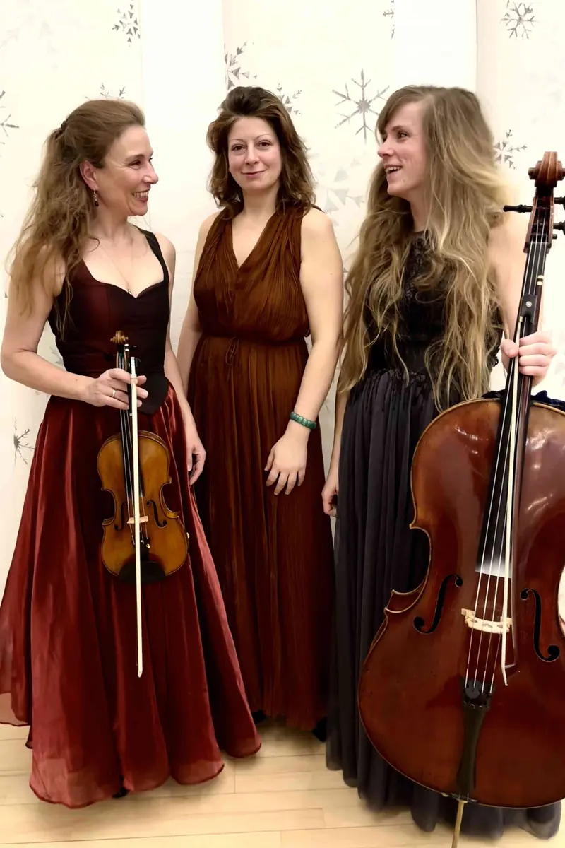 Nytårskoncert med Wienertrioen — Kulturhuset Nødebo Kro, Fredensborg
