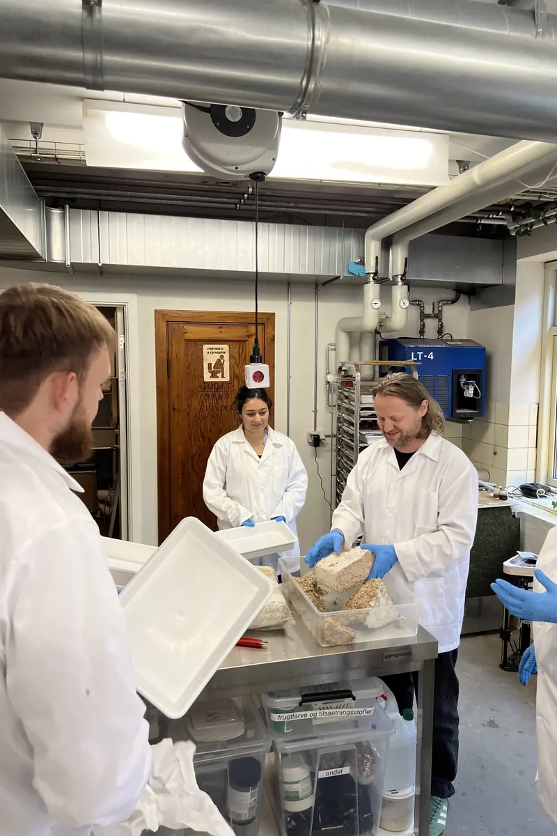 Biolab/Fablab – Byg vækstprototyper for en bæredygtig fremtid — FabLab Spinderihallerne, Vejle