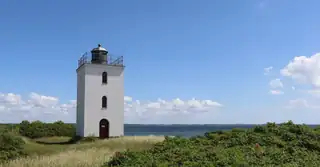 Naturens Dag på Bågø