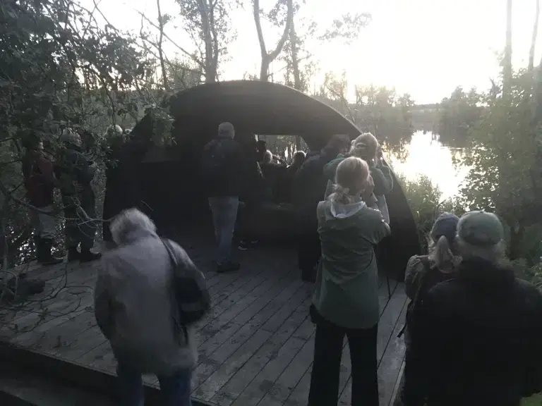 Bæver- og Flagermustur på Arrenæs 2. - VILD - — Frederiksværk