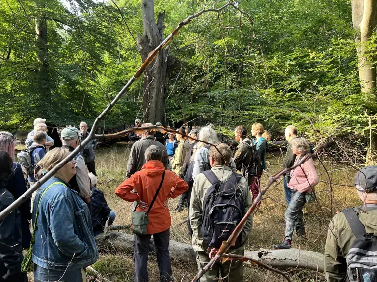 Sensommertur i Strødam reservatet- venteliste — Strødamslaboratoriet, Hillerød