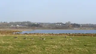 Tid til at komme ud at opleve fugle - for børn og voksne