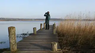 Bird watching tour at Egå Engsø
