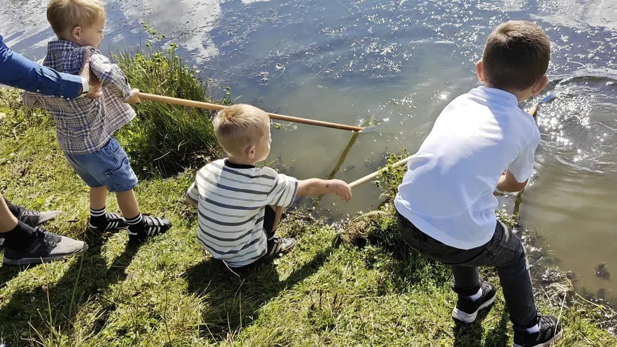 VILDE naturoplevelser med DN Favrskov ! — Hammel