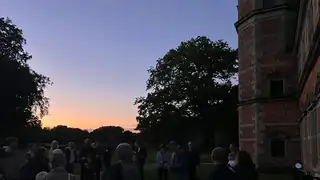 Meet Danmarks Naturfredningsforening and the Bats on Culture Night