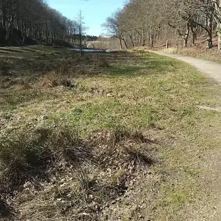 Naturpleje i Kildeengen – et naturområde midt i Hjørring by