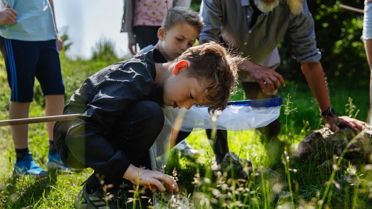 Vær med til at fejre Naturens Dag! — Favrholm Pionercamp, Hillerød