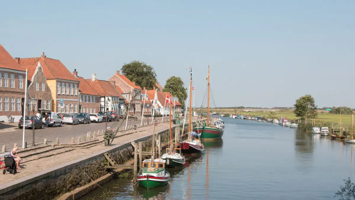 Årsmøde i DN Esbjerg — Esbjerg Hovedbibliotek, Esbjerg