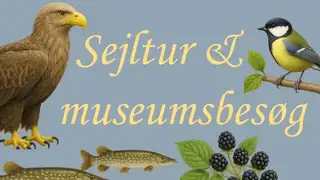 Sailing tour & museum - From sea eagles to history