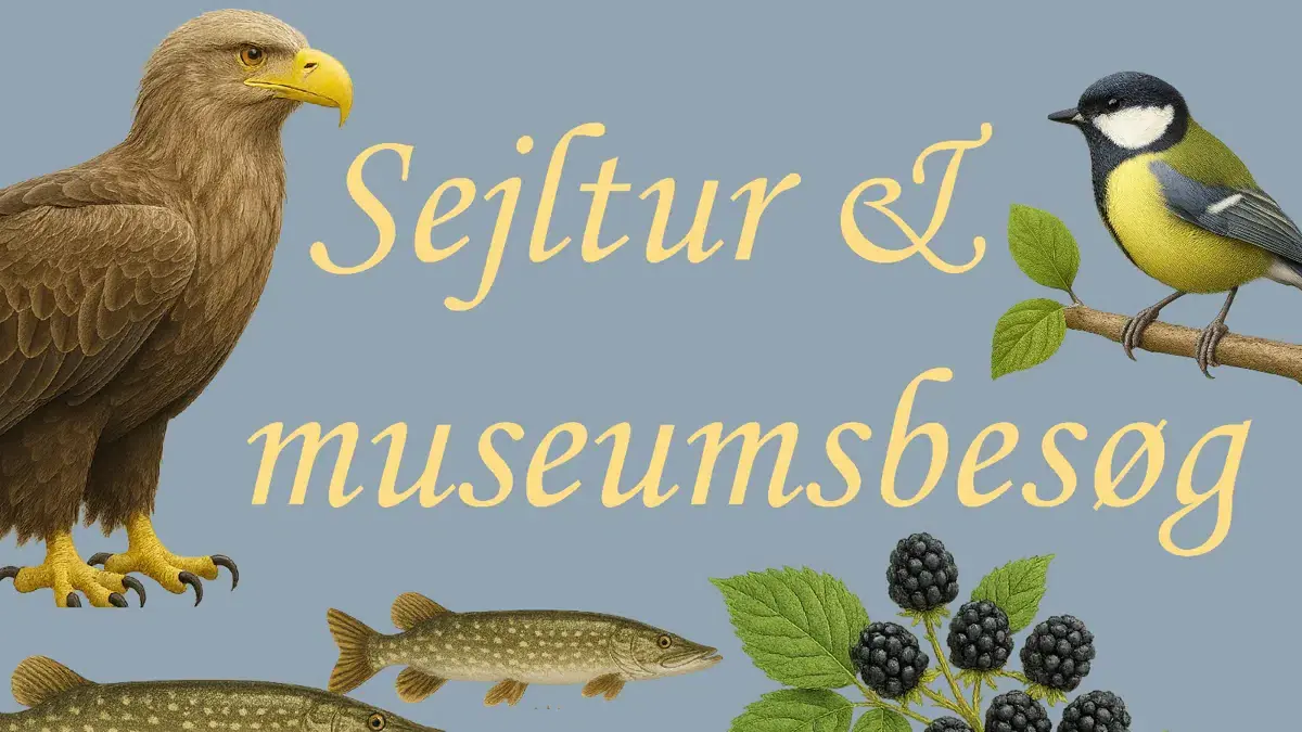 Sejltur & museum – Fra havørne til historie — Anlægsbroen ved Maribo roklub, Maribo