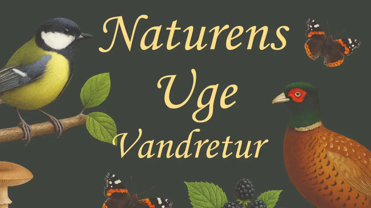 Vandretur - Eriksvolde, Skåningshave skov og Lysemose skov — Maribo