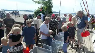 Fritidsfiskerensdag