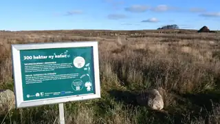 På opdagelse i et nyt naturområde i Aarhus (for de 4-12-årige)