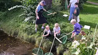 Mini Bioblitz in Øregårdsparken - Gentofte Town Meeting