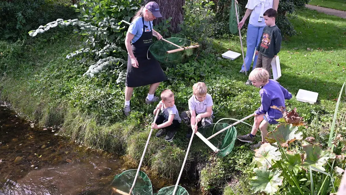 Minibioblitz i Øregårdsparken - Gentofte Folkemøde — Hellerup