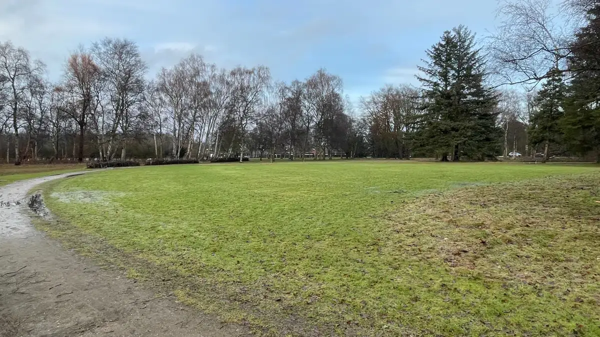 Kom med til Bioblitz i Espelunden Park — Espelunden Park, Rødovre