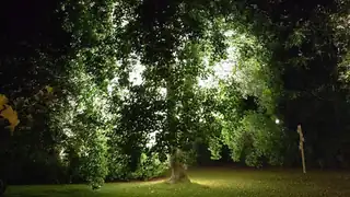 Guided tours on Vestvolden: night in nature