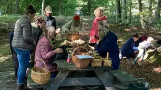 Bird watching tour at Søborg Lake